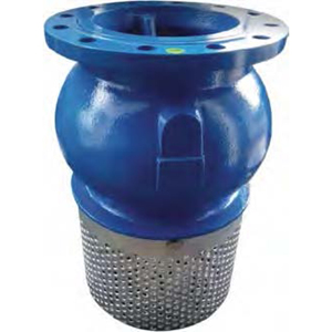 Check Valve EN Foot Valves Ductile Iron PN10/16